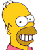 Homer - Simpsonovi