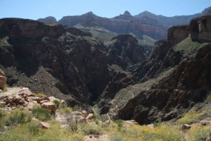 Pohled do Grand Canyonu